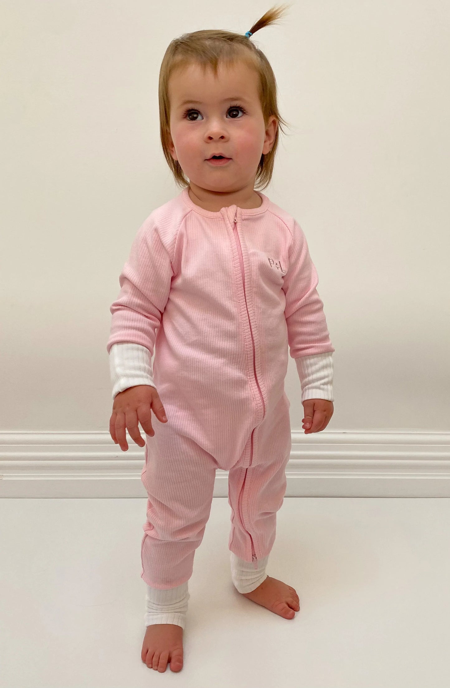 Marshmallow Zippy