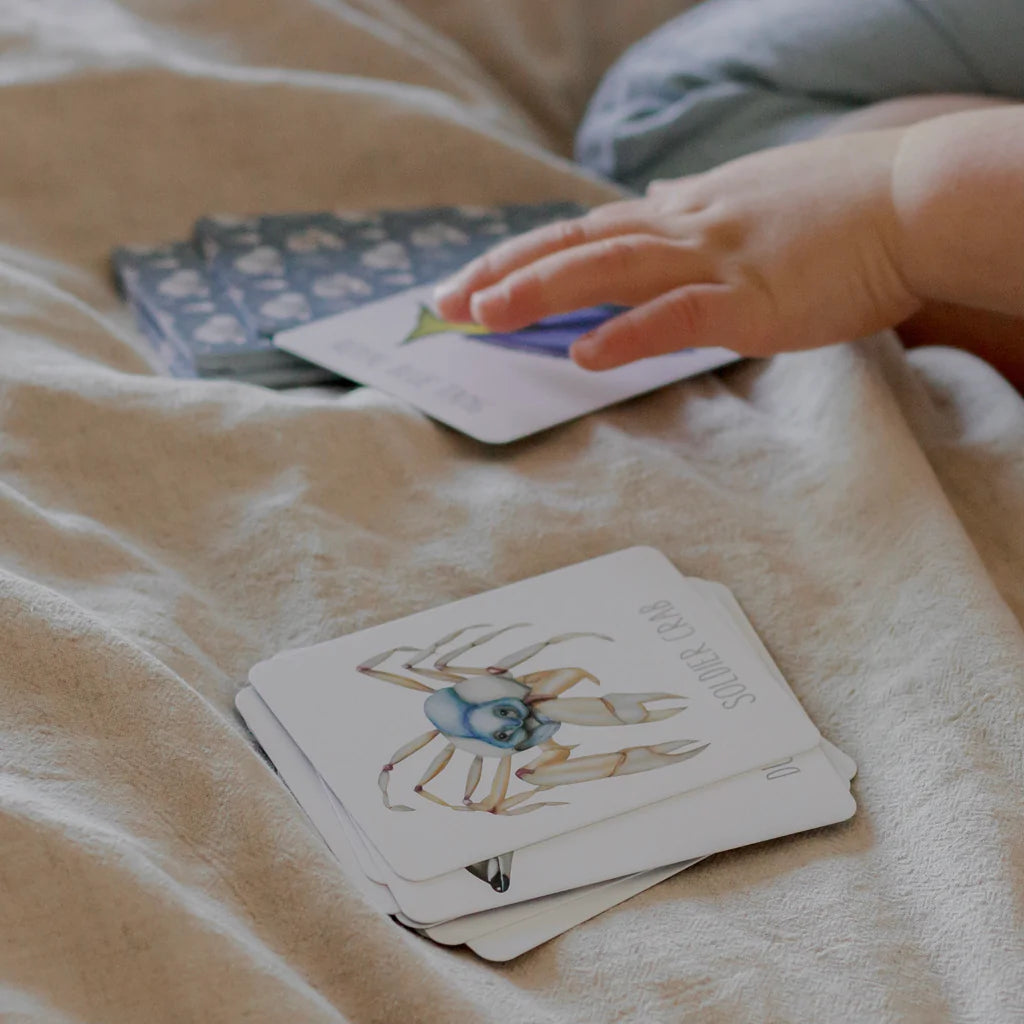OCEAN SNAP & GO FISH (2 CARD GAMES IN 1)