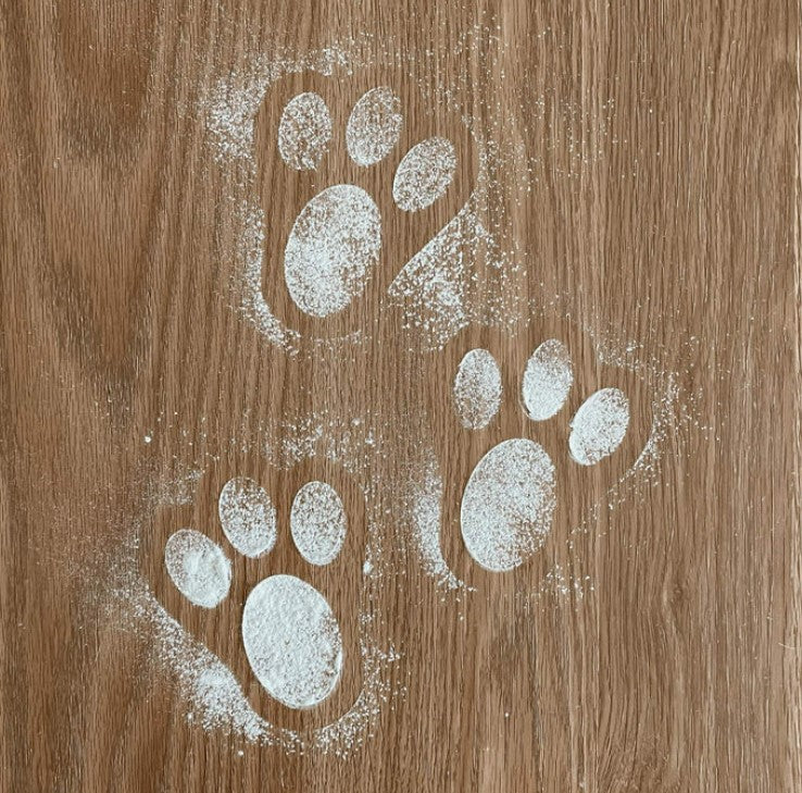 Easter Bunny Foot Print Stencil