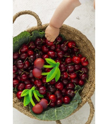 MERRY The Cherry